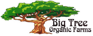 BIG TREE ORGANIC FARMS logo