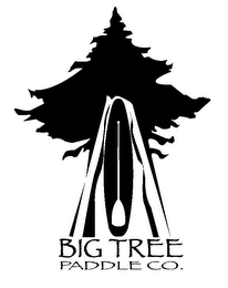 BIG TREE PADDLE CO. logo
