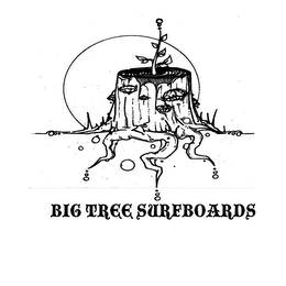 BIG TREE SURFBOARDS logo