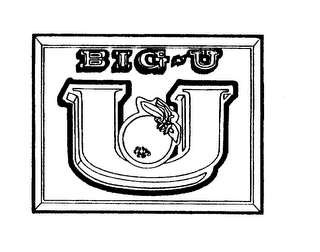 BIG-U logo