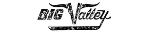 BIG VALLEY logo