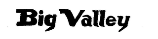 BIG VALLEY logo