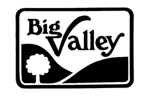BIG VALLEY logo