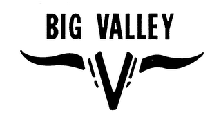 BIG VALLEY V logo
