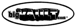 BIG VAULT.COM logo
