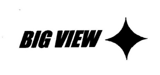 BIG VIEW logo
