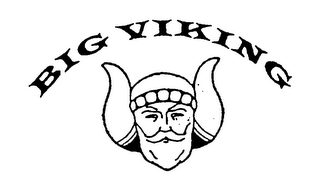BIG VIKING logo