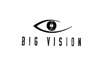 BIG VISION logo