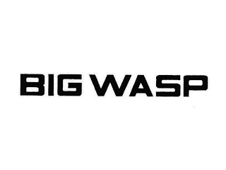 BIG WASP logo