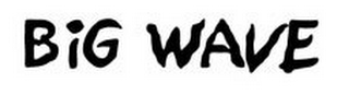 BIG WAVE logo