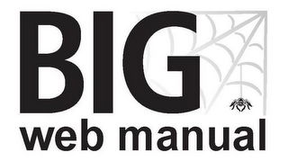 BIG WEB MANUAL logo