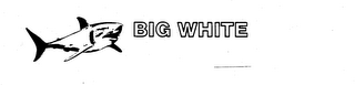 BIG WHITE logo
