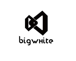 BIG WHITE logo