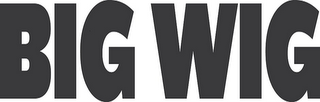 BIG WIG logo