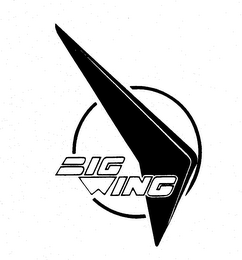 BIG WING logo