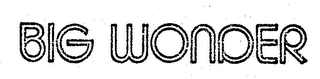 BIG WONDER logo