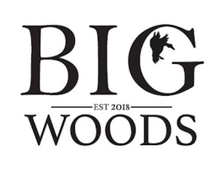 BIG WOODS EST 2018 logo