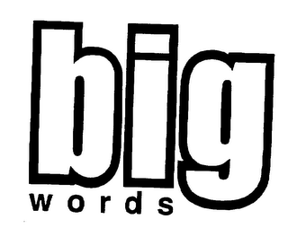 BIG WORDS logo