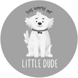 BIG WORLD OF LITTLE DUDE logo