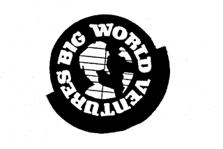 BIG WORLD VENTURES logo