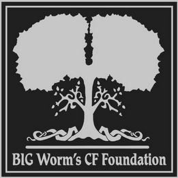 BIG WORM'S CF FOUNDATION logo