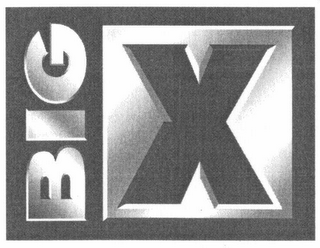 BIG X logo