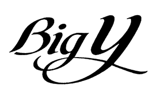 BIG Y logo