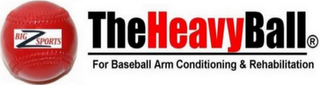 BIG Z SPORTS THE HEAVY BALL FOR BASEBALL ARM CONDITIONING & REHABILITATION logo