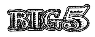 BIG5 logo