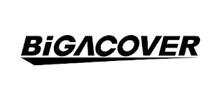 BIGACOVER logo