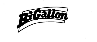 BIGALLON logo