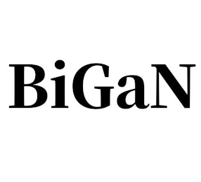 BIGAN logo