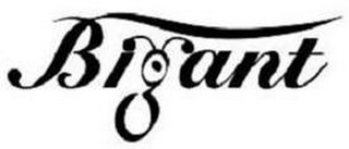 BIGANT logo