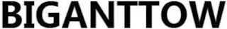 BIGANTTOW logo