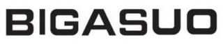 BIGASUO logo