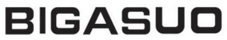 BIGASUO logo