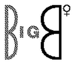 BIGB logo