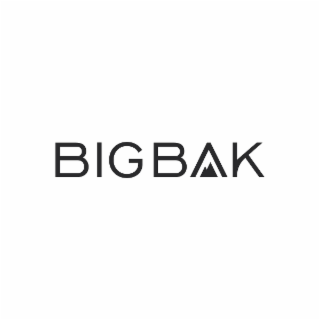 BIGBAK logo