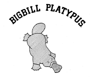BIGBILL PLATYPUS logo