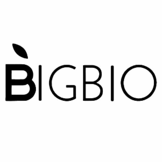 BIGBIO logo