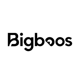 BIGBOOS logo