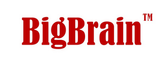 BIGBRAIN logo