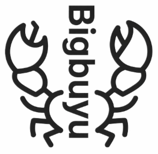 BIGBUYU