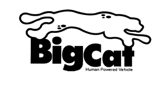 BIGCAT HUMAN POWERED VEHICLE logo