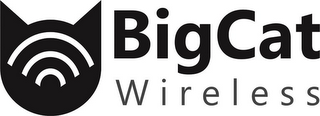 BIGCAT WIRELESS logo