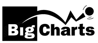 BIGCHARTS logo