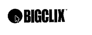 BIGCLIX logo