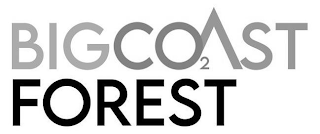 BIGCOAST FOREST 2 logo