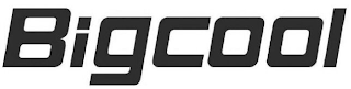 BIGCOOL logo