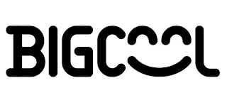 BIGCOOL logo